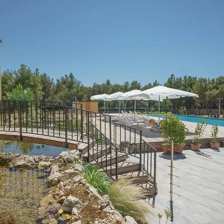 In Guest - Cozy Park View With Breakfast Included Guest house